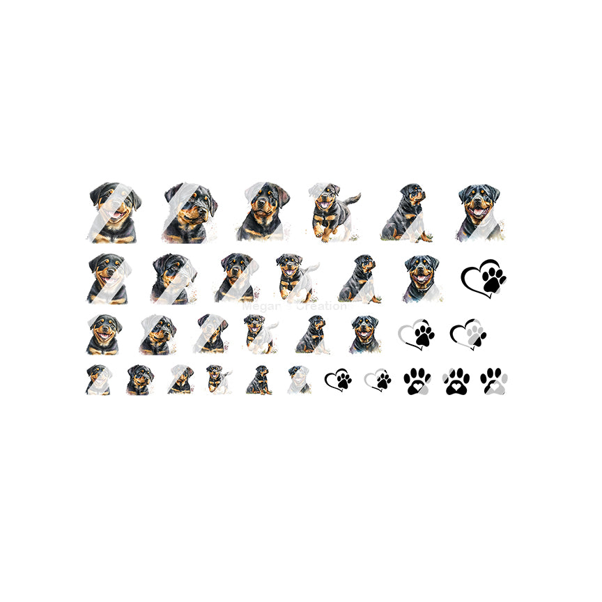 Rottweiler Nail Art Decals- Waterslide Nail Decals