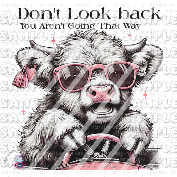 Highland Cow Don't Look Back Ready To Press Sublimation Transfer (