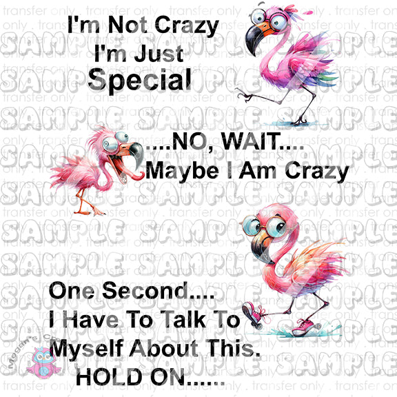 I'm Not Crazy I'm Just Special Flamingo Funny Ready To Press Sublimation Transfer