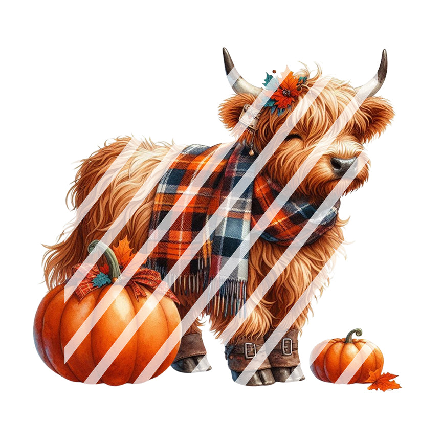 Fall Highland Cow Waterslide Decals -  Ready to Use - Design #4