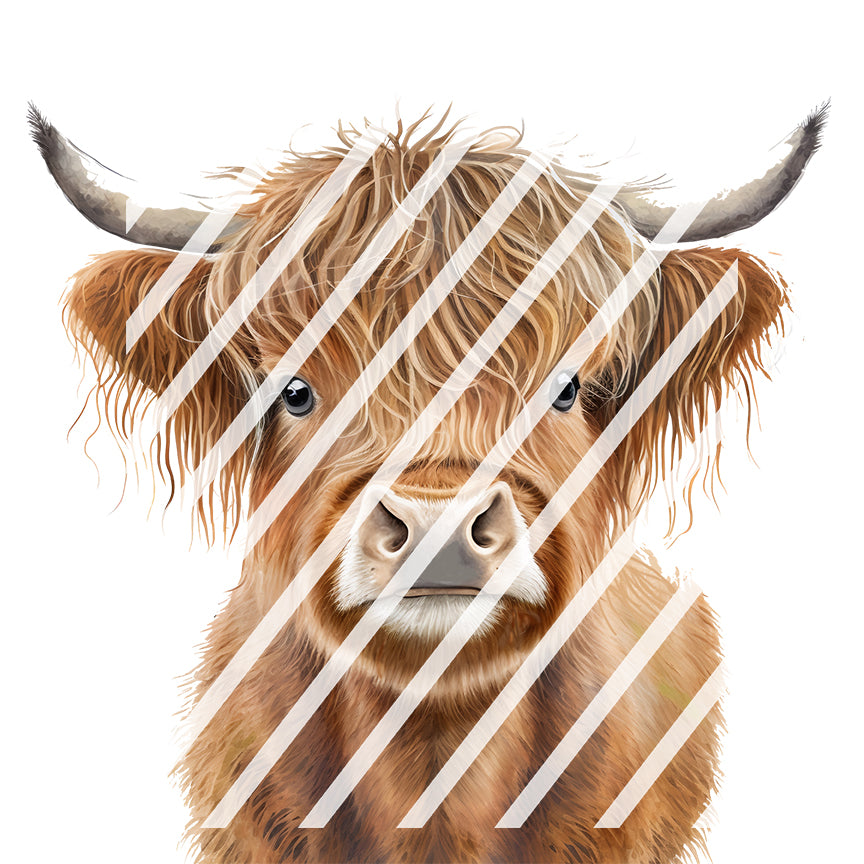 Highland Cow Waterslide Decals -  Ready to Use - Design #2