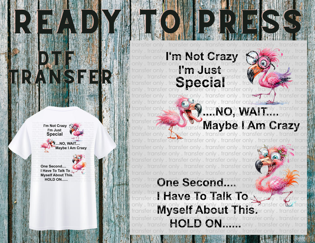 I'm Not Crazy I'm Just Special Flamingo Funny, Ready To Press DTF Transfer