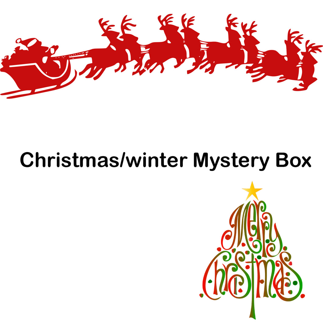 Christmas Mystery Box