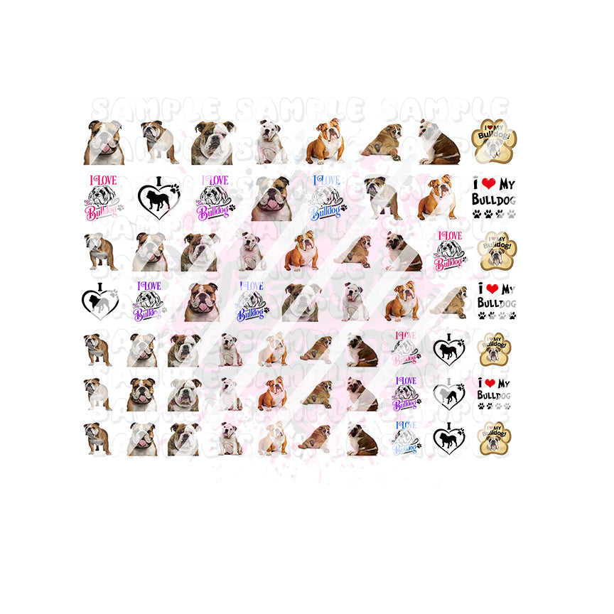63 English Bulldog Nail Art Decals - Waterslide Nail Decals - Design #2
