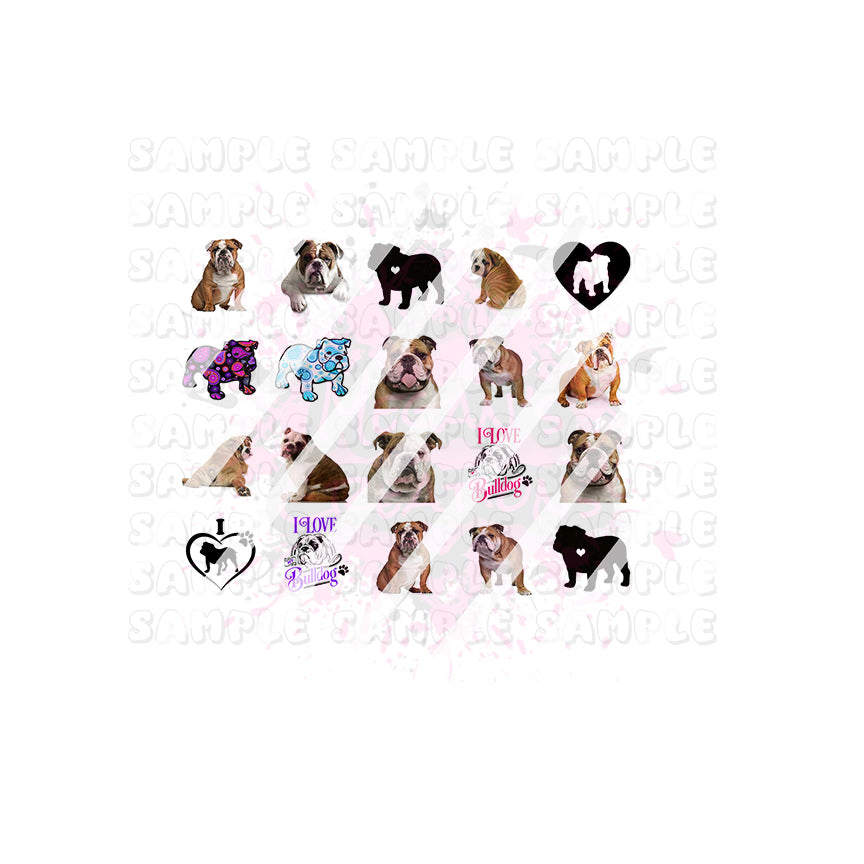 English Bulldog Nail Art Decals - Waterslide Nail Decals