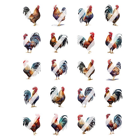 Rooster Chicken Nail Art Decals - Waterslide Nail Decals